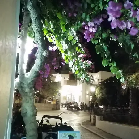 Sunloft-paros 3* Naousa (Paros)